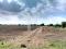 32,66 hectáreas agrícolas - Fracción de Campo sobre Camino del Buen Ayre Sur